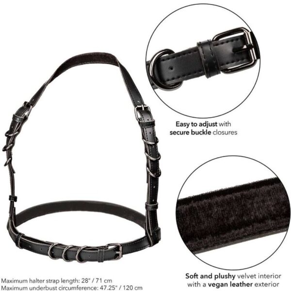 EUPHORIA PLUS - Imagen 2
