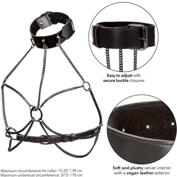 EUPHORIA MULTI CHAIN - Imagen 2