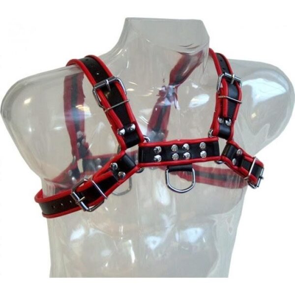 CHAIN HARNESS